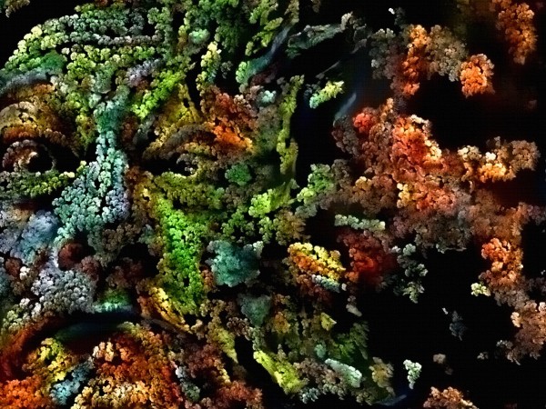 The Face of Nature by Bruce Rolff